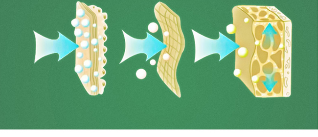 ���BԊ��Q�z���B�B���i������