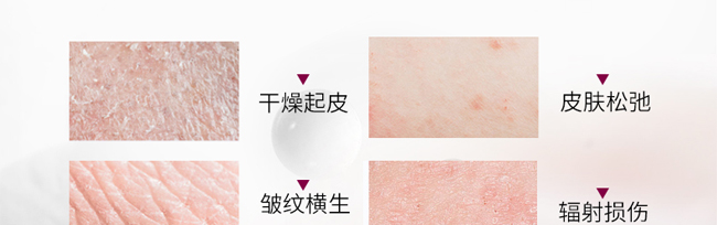 �`֥���B���w˪