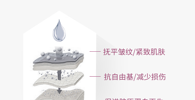 �`֥���B���w˪