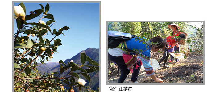 ���ϼ���-�Ř�ɽ����ϴ�l��