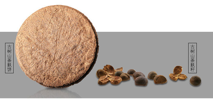 ���ϼ���-ɽ�����{������