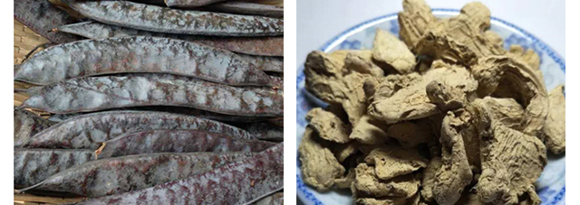 �lѾѾ�ݱ�ֲ��ݱ�ϴ�l��