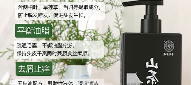 ���ϼ���ɽ����ԭ�{