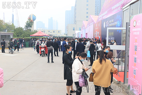 ��47�����݇��H���I���[��ʢ���_Ļ