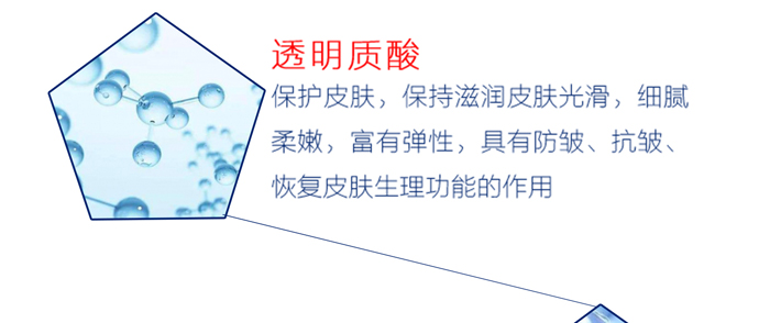 �����t��ϵ��