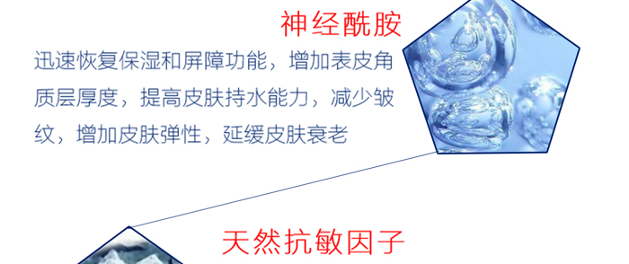 �����t��ϵ��