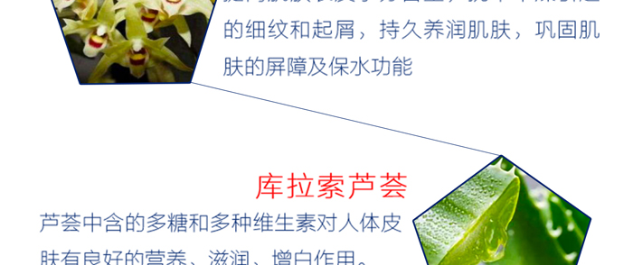 �����t��ϵ��