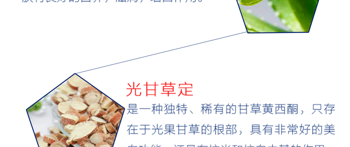 �����t��ϵ��