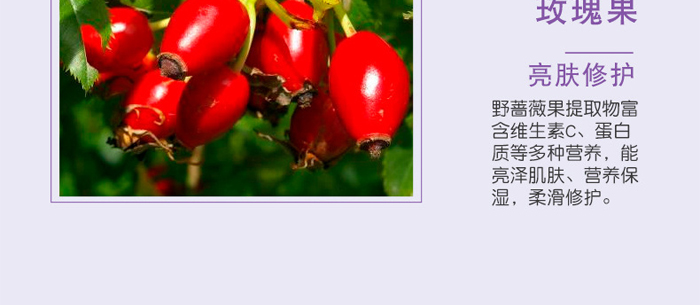 �S�c�ʗ�ѩɏ����͸�������_17