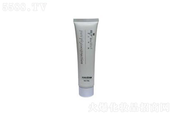 �t�����w�w�վo�wĤ