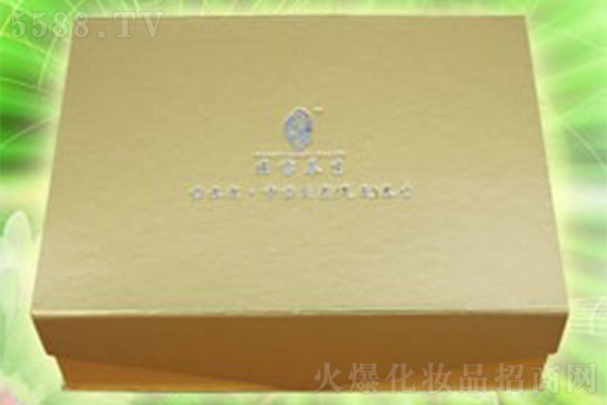 �t�����Lʽ��ˎѬ�������B�����b