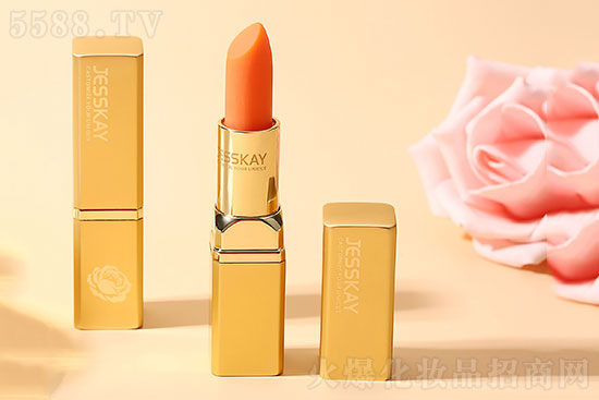 JESSKAYõ�徫���ޏʹ���