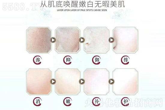 ��ע���}���w���o