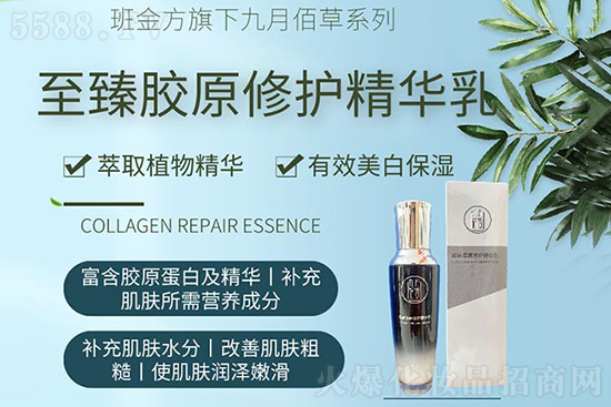 班金方至臻膠原修護精華乳 班金方至臻膠原修護精華乳