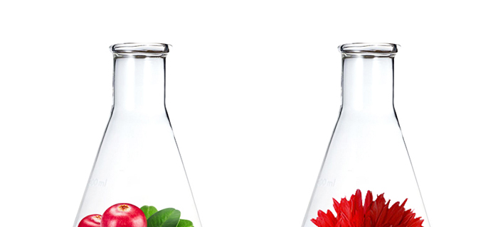 ���ǉ��ɼ���͸�B(y��ng)�o��