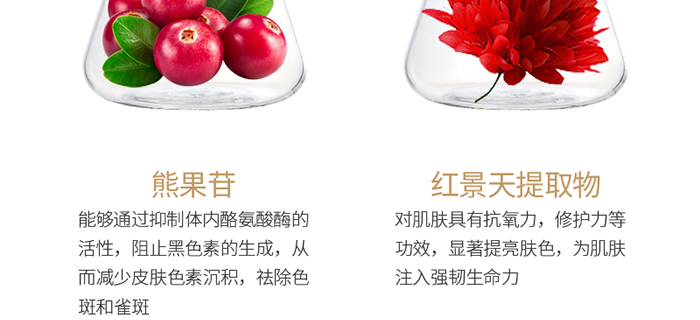 ���ǉ��ɼ���͸�B(y��ng)�o��