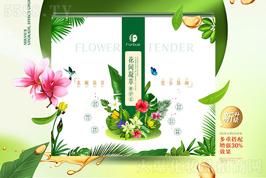 �tʩ�����g�������o��