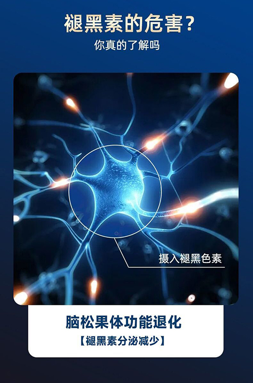 �É�Ů�񌧹����z